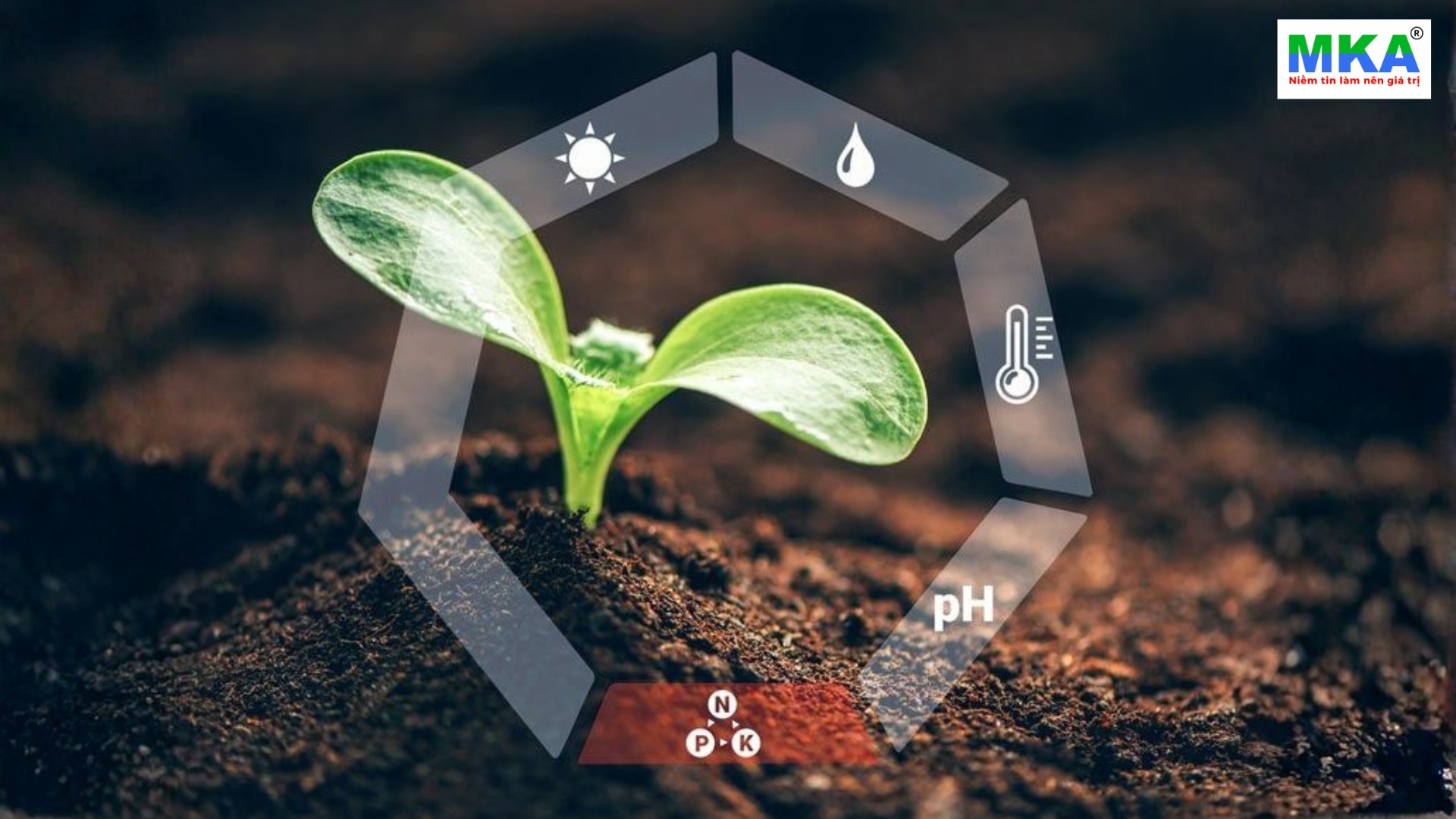 khi nào cần cải tạo đất trồng